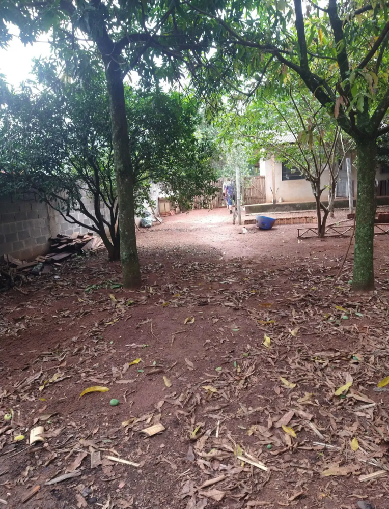 Chácara, 4 quartos, 4000 m² - Foto 13