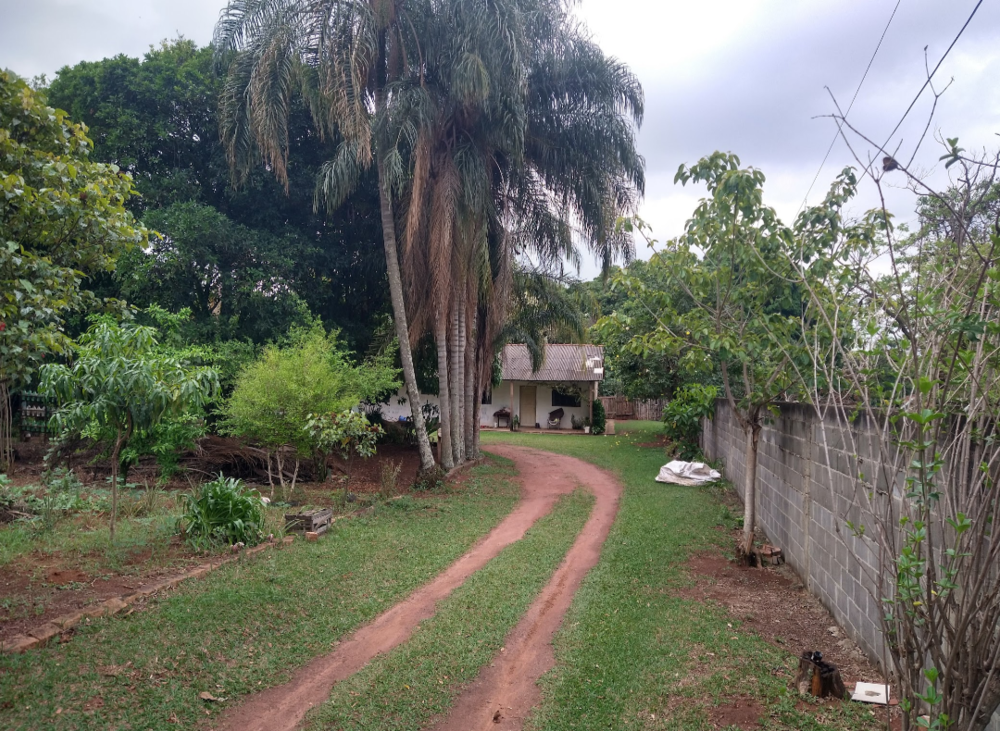 Chácara, 4 quartos, 4000 m² - Foto 16