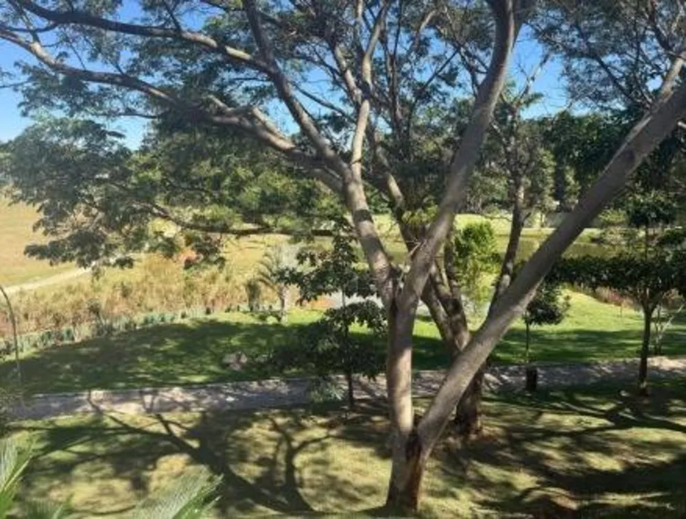 Terreno, 250 m² - Foto 8