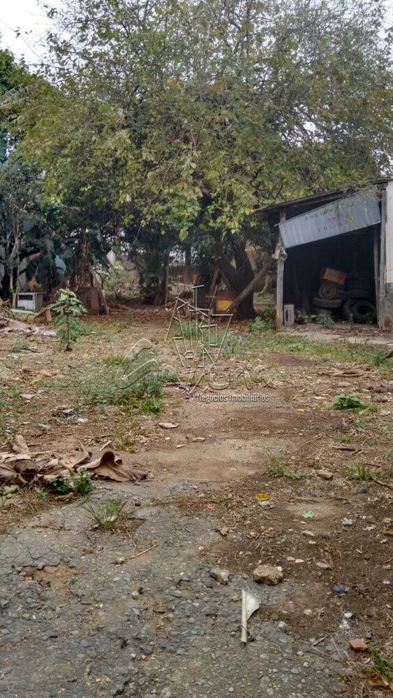 Terreno, 1000 m² - Foto 3