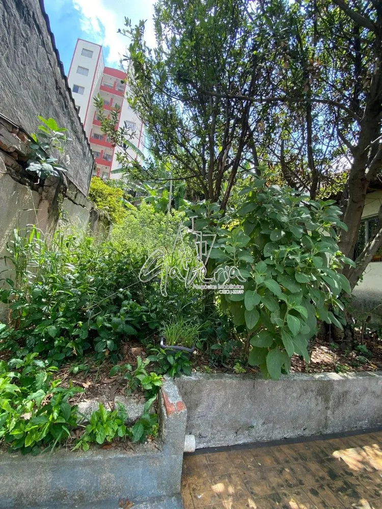 Casa, 4 quartos, 224 m² - Foto 27