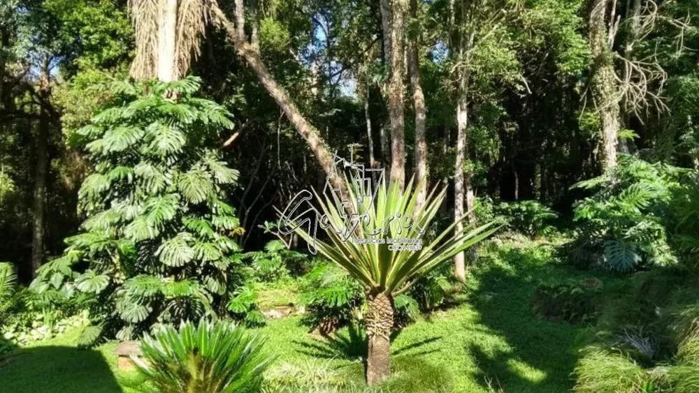 Chácara, 4 quartos, 10000 m² - Foto 19