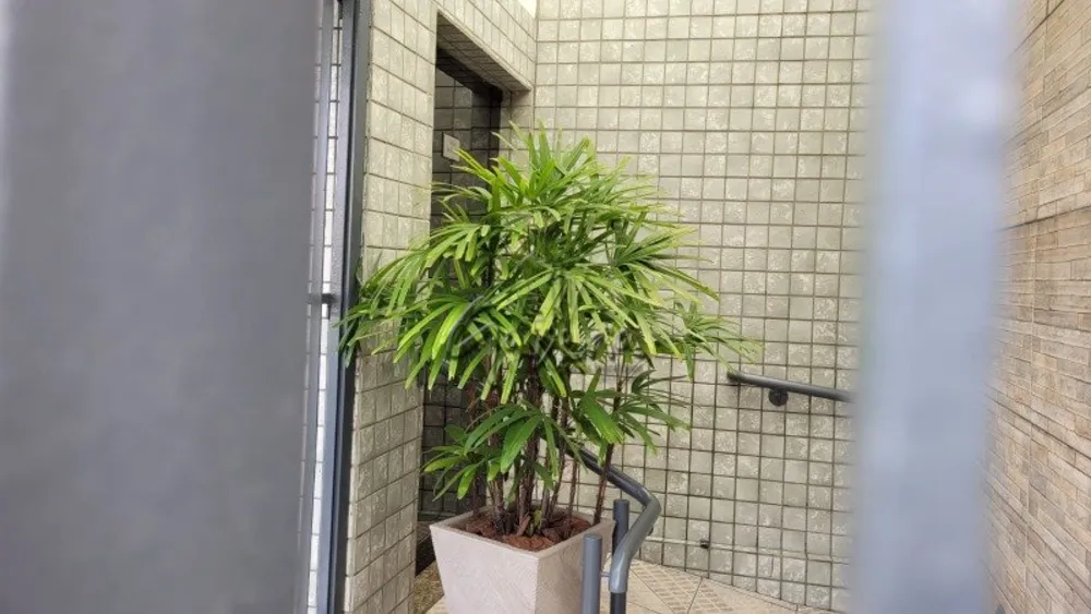 Apartamento, 3 quartos, 84 m² - Foto 14