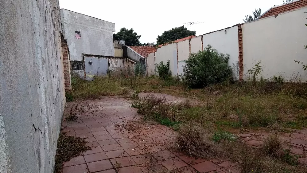 Terreno à venda e aluguel, 270 - Foto 3