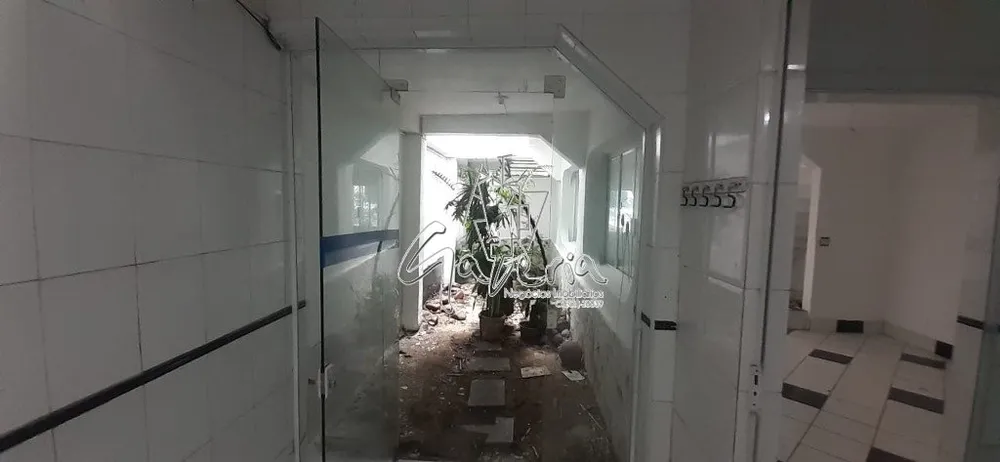 Casa, 4 quartos, 255 m² - Foto 15