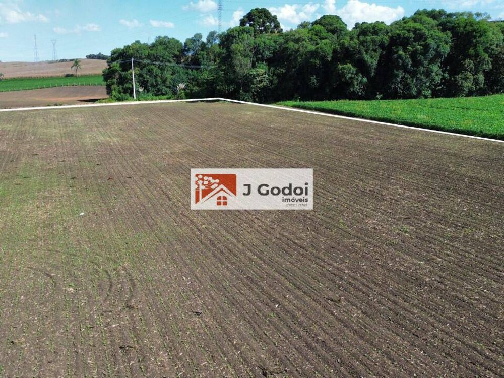 Loteamento e Condomínio, 2 hectares - Foto 2
