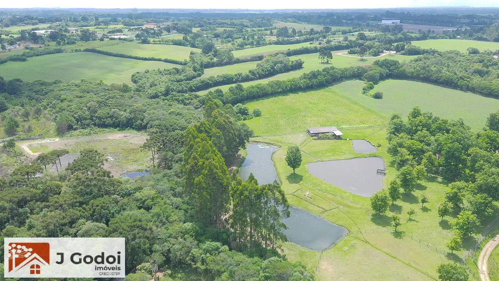 Terreno, 8 hectares - Foto 7
