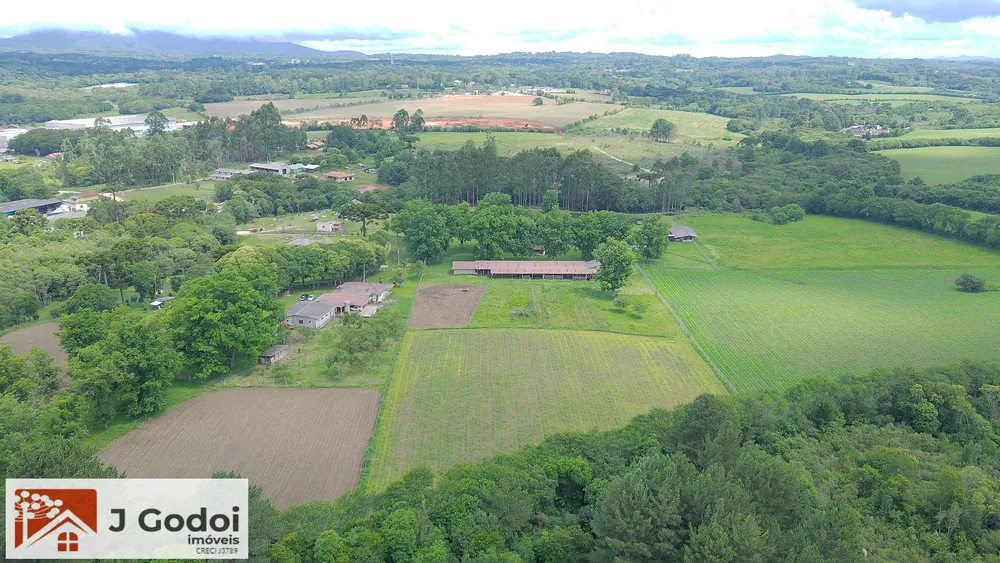 Terreno, 8 hectares - Foto 4