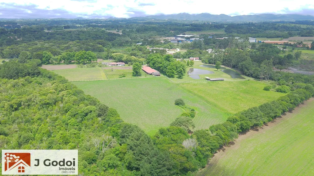 Terreno, 8 hectares - Foto 6