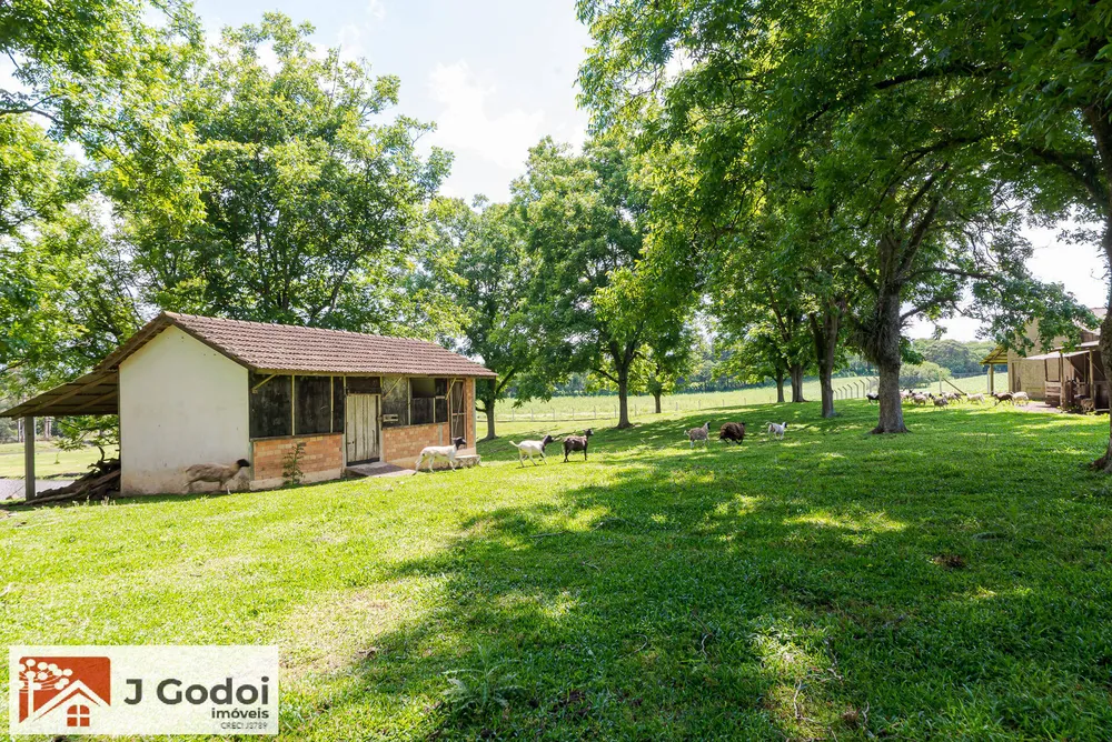 Terreno, 8 hectares - Foto 1