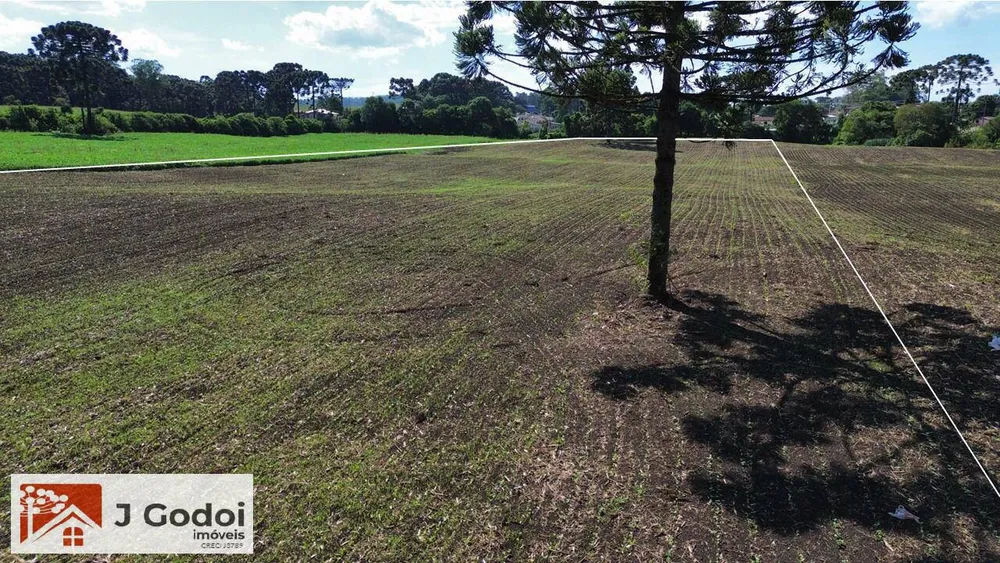 Loteamento e Condomínio, 2 hectares - Foto 4