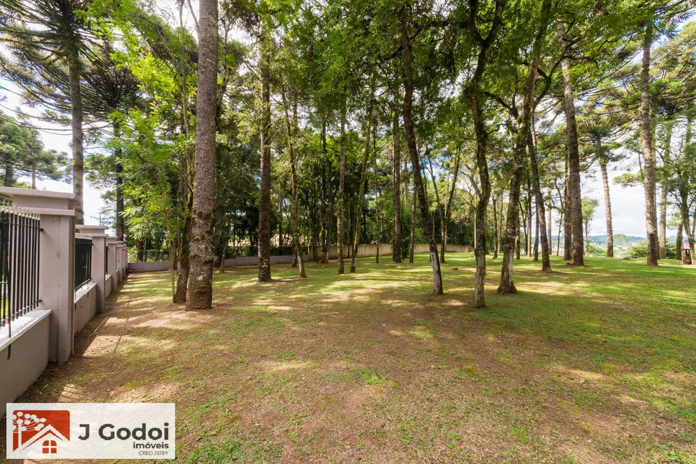 Terreno, 3645 m² - Foto 10