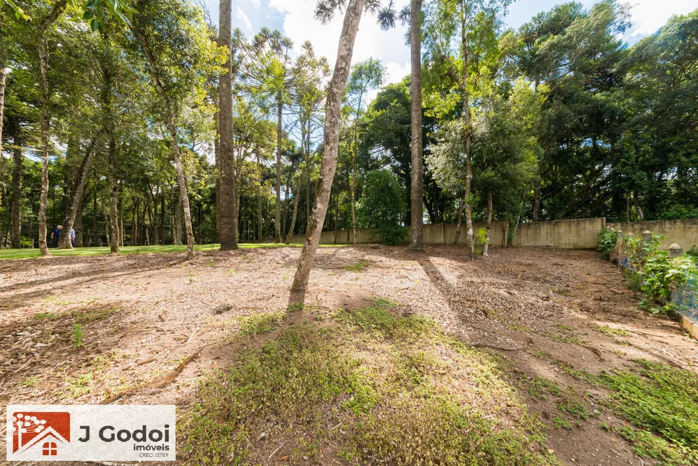 Terreno, 3645 m² - Foto 6