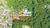 Terreno, 3645 m² - Foto 2