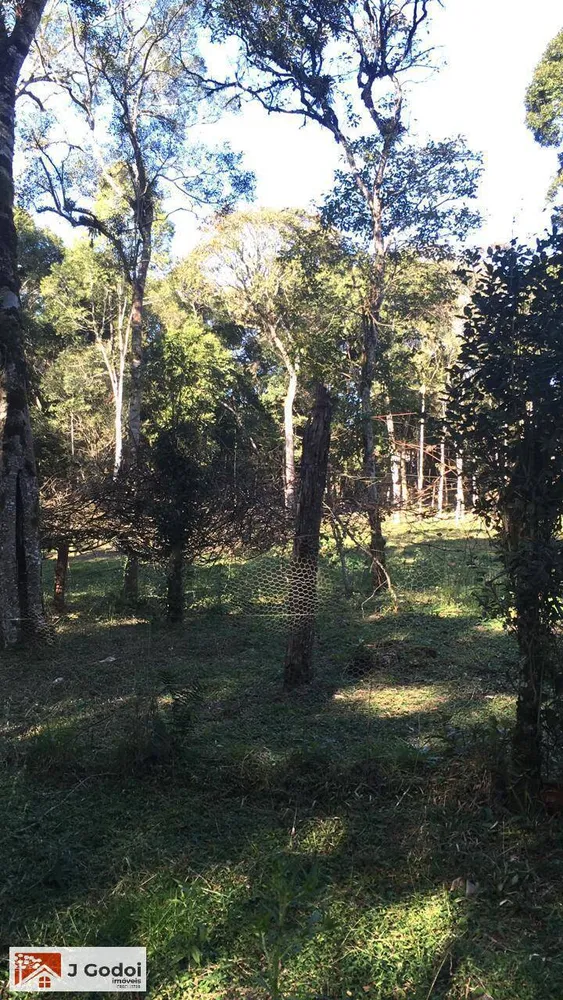 Sítio, 3 quartos, 10000 m² - Foto 16
