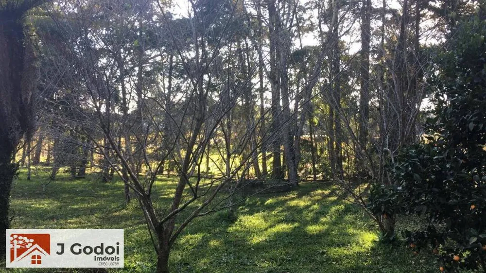 Sítio, 3 quartos, 10000 m² - Foto 18