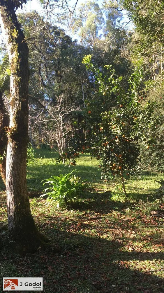 Sítio, 3 quartos, 10000 m² - Foto 15