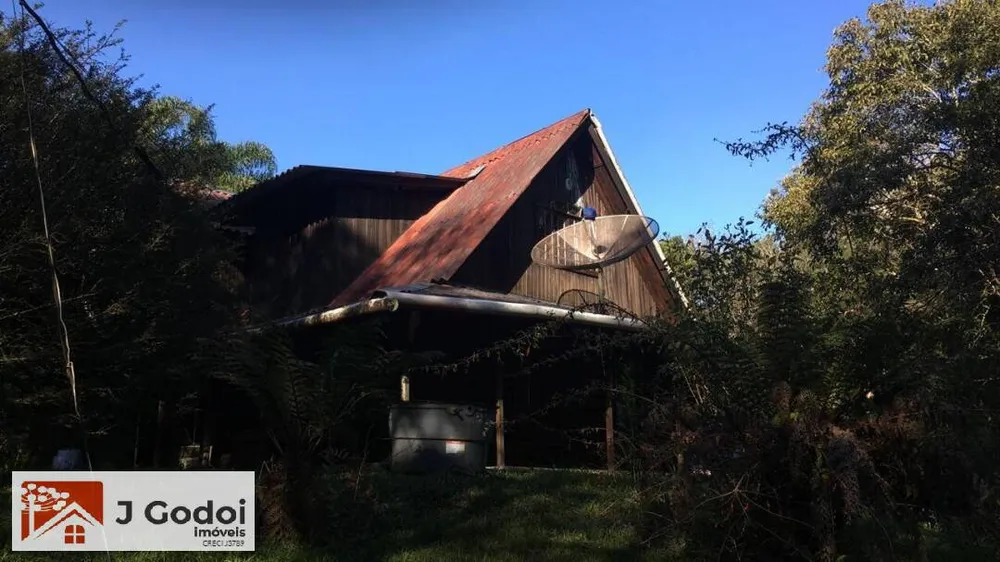 Sítio, 3 quartos, 10000 m² - Foto 3
