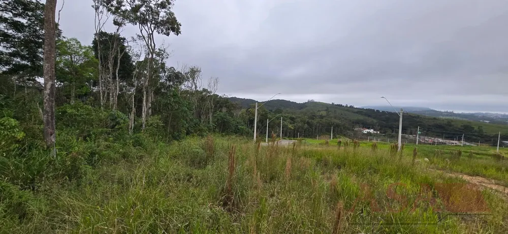 Terreno, 250 m² - Foto 5