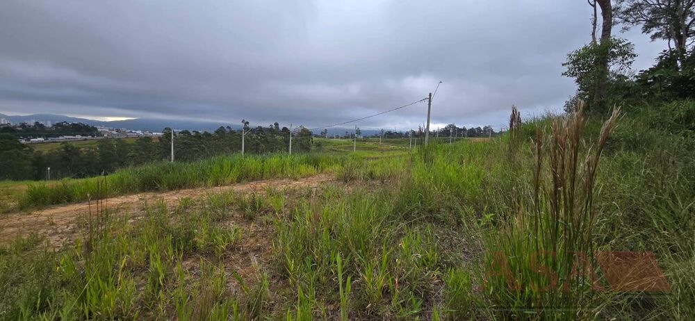 Terreno, 250 m² - Foto 1