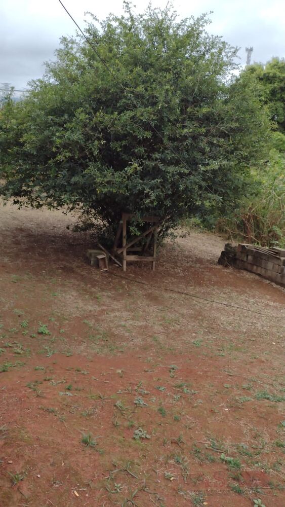 Casa, 8 quartos - Foto 5