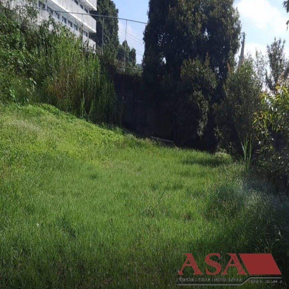 Casa, 8 quartos - Foto 2