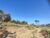 Terreno, 2 hectares - Foto 2