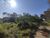 Terreno, 2 hectares - Foto 6