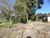 Terreno, 2 hectares - Foto 10