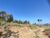 Terreno, 2 hectares - Foto 4