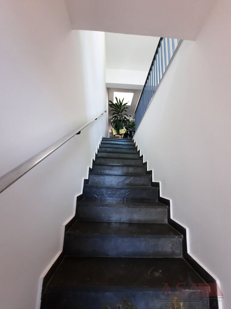 Casa, 4 quartos, 315 m² - Foto 11