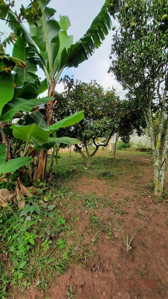 Terreno, 500 m² - Foto 2