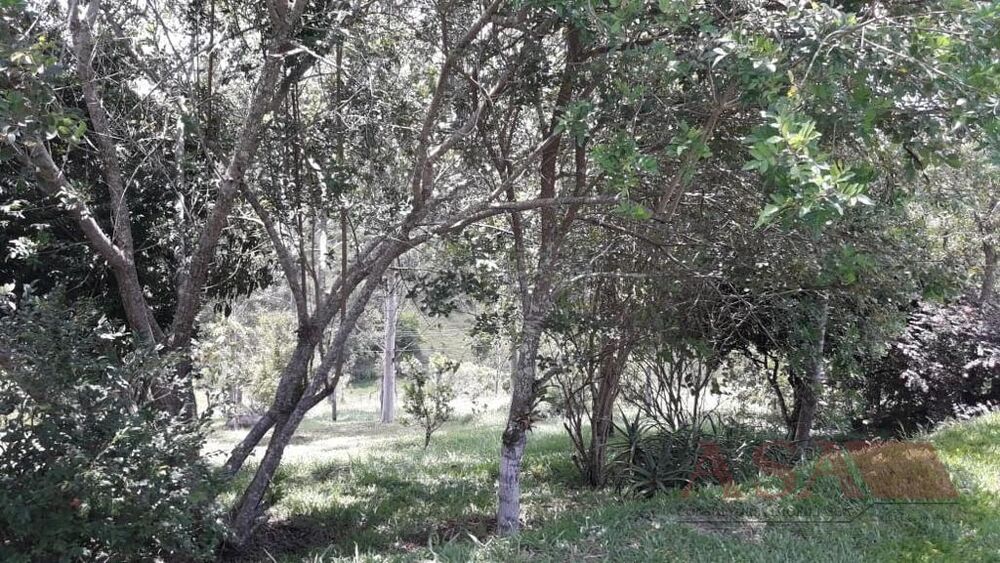 Sítio à venda com 3 quartos, 216m² - Foto 27