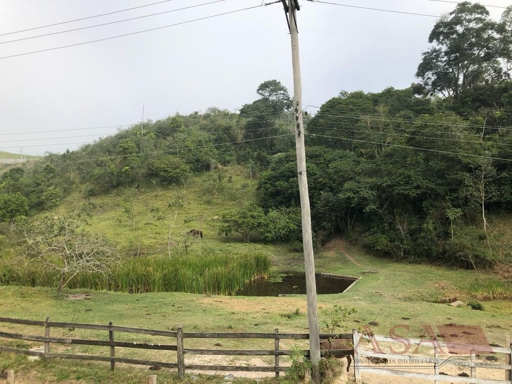 Sítio à venda com 3 quartos, 216m² - Foto 6