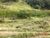 Sítio, 3 quartos, 4 hectares - Foto 4