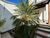 Prédio Inteiro, 310 m² - Foto 4