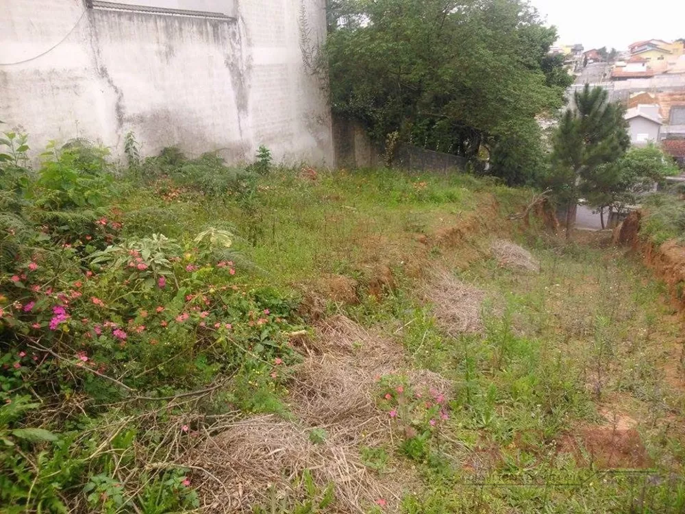 Terreno, 600 m² - Foto 3