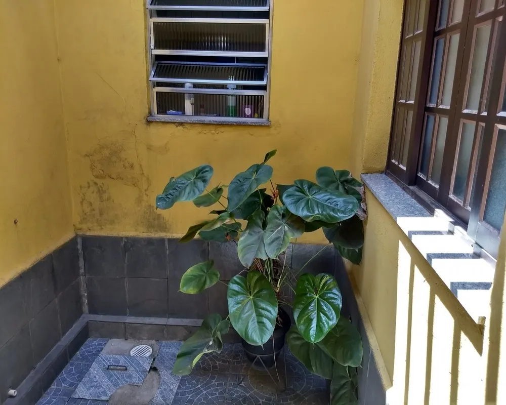 Casa, 3 quartos, 220 m² - Foto 2
