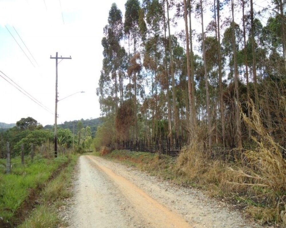 Prédio Inteiro à venda, 21000m² - Foto 9
