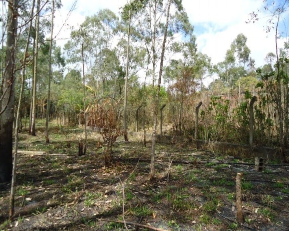 Prédio Inteiro à venda, 21000m² - Foto 7