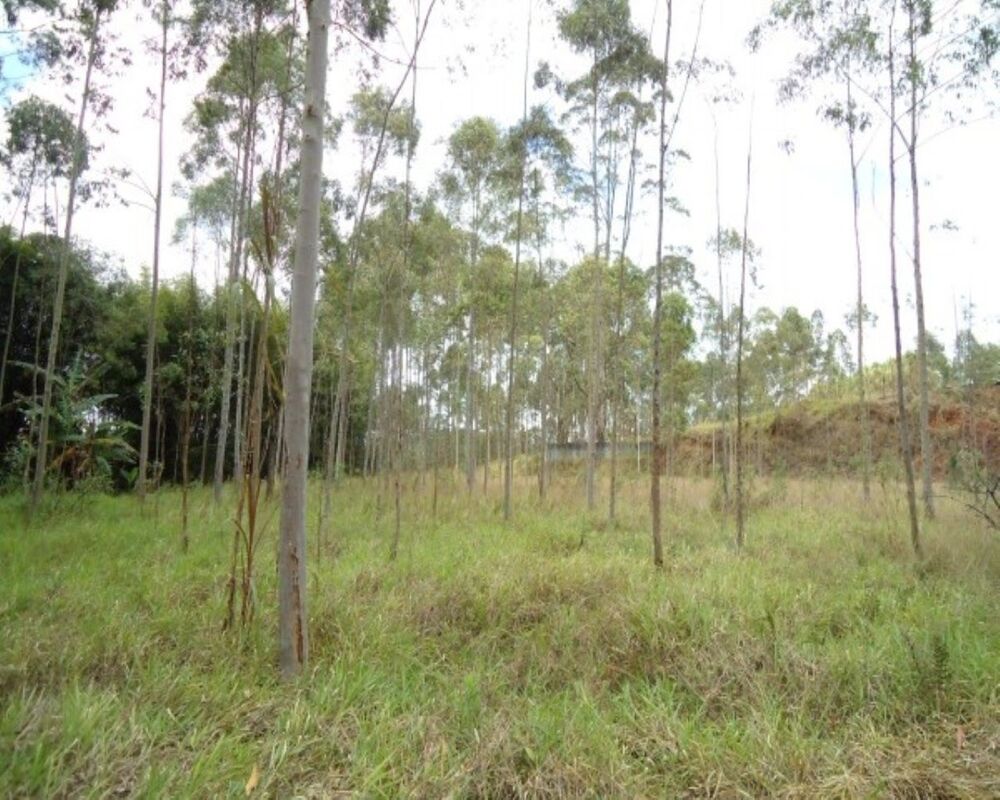 Prédio Inteiro à venda, 21000m² - Foto 8