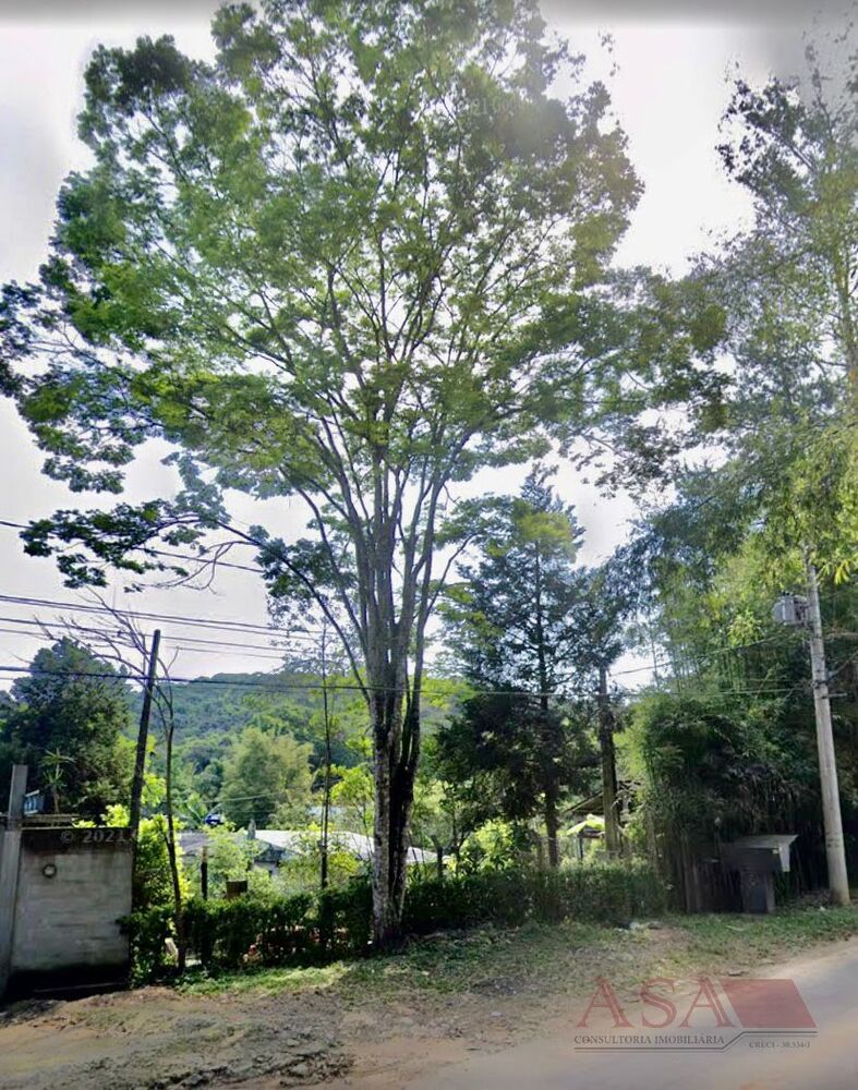 Sítio, 3 quartos, 3000 m² - Foto 3