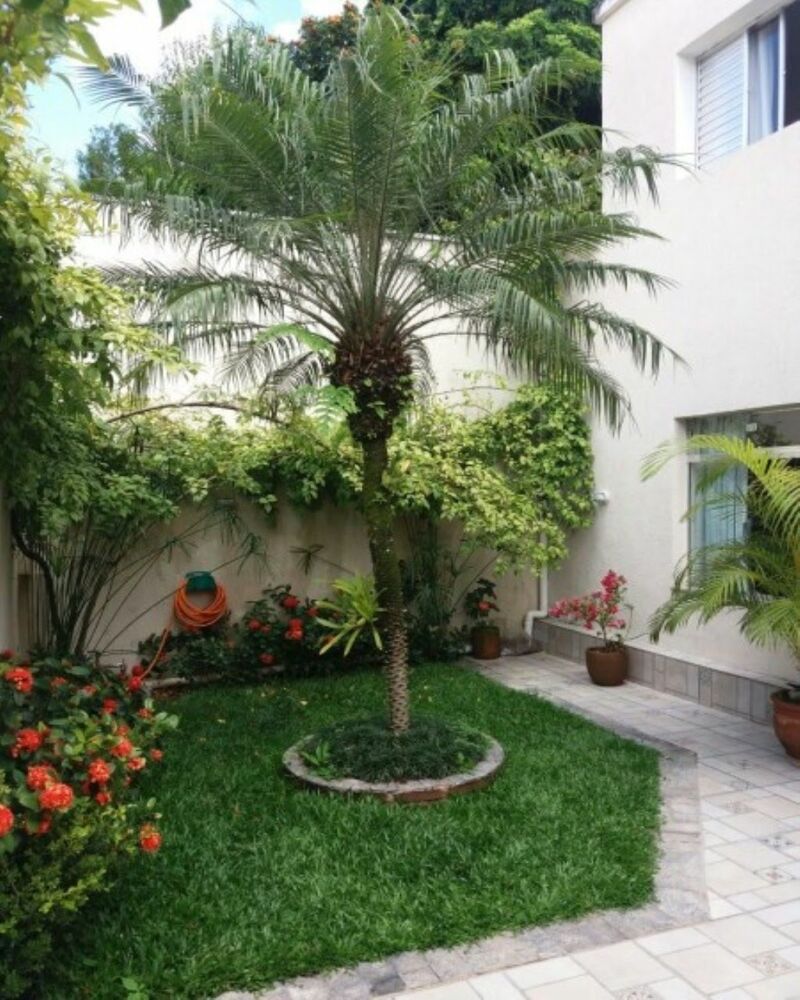 Casa, 3 quartos - Foto 17