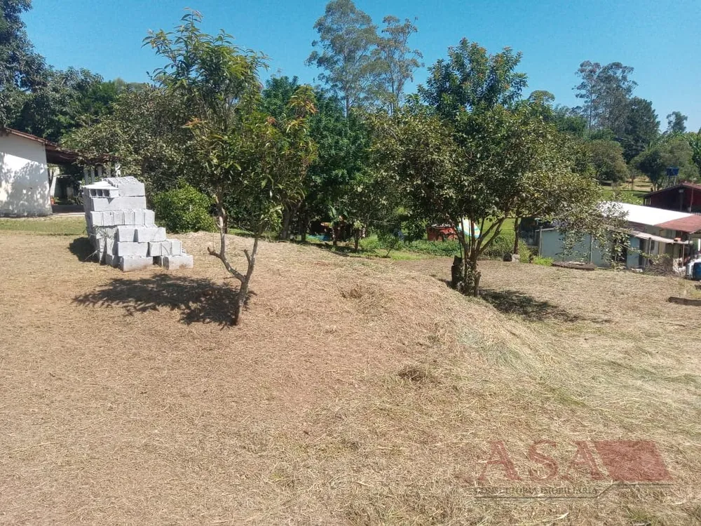 Sítio, 2 quartos, 8245 m² - Foto 17