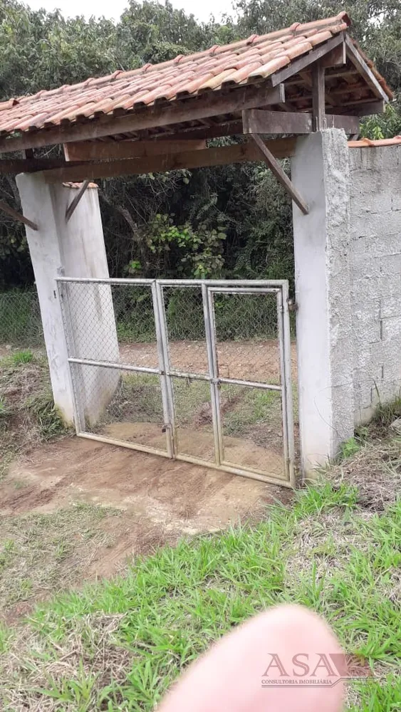 Sítio, 2 quartos, 8245 m² - Foto 6