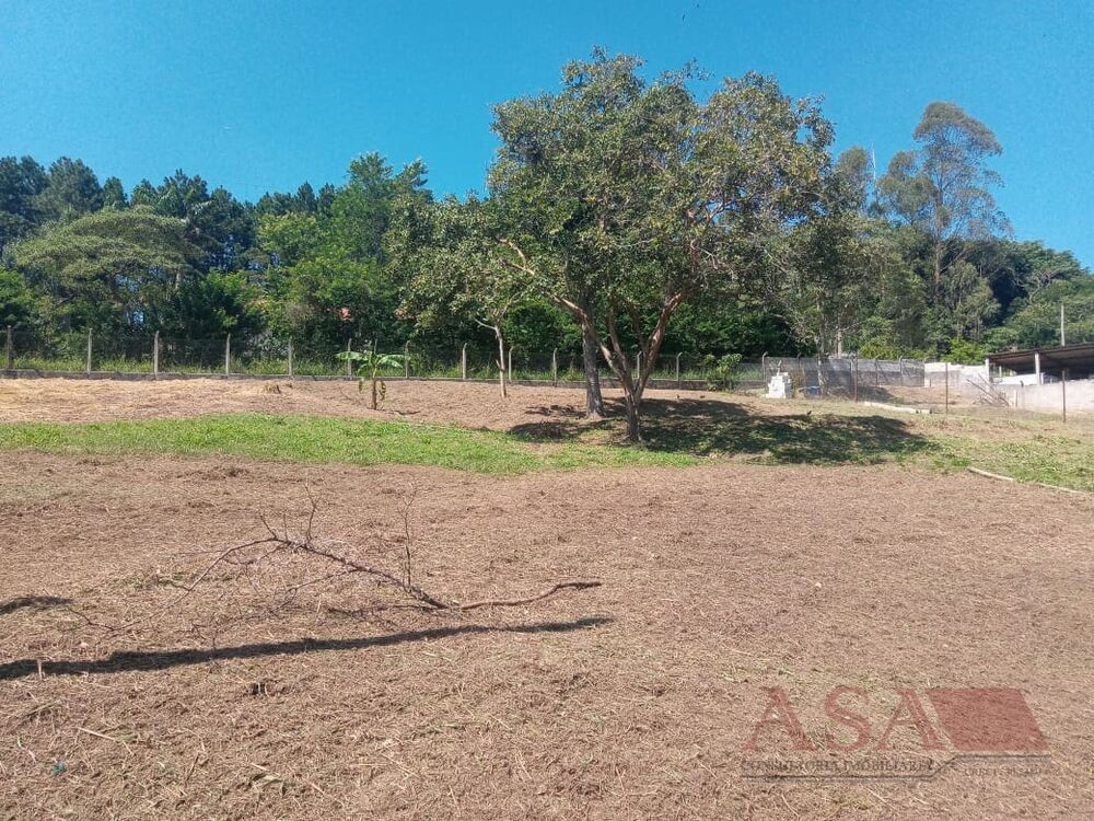 Sítio, 2 quartos, 8245 m² - Foto 6