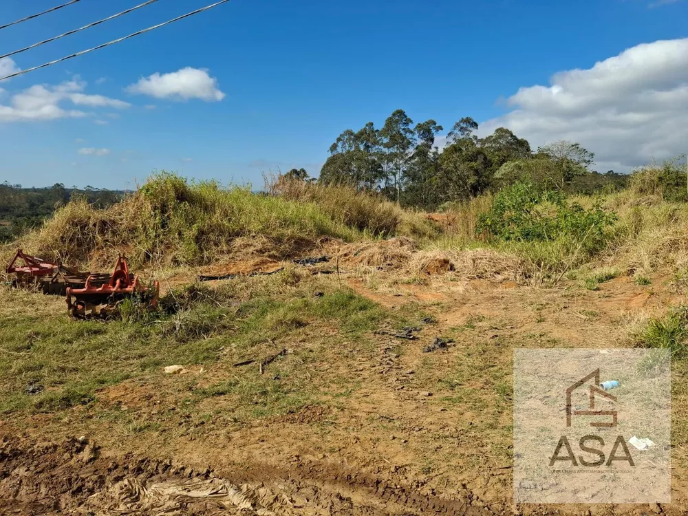 Sítio, 9 hectares - Foto 3