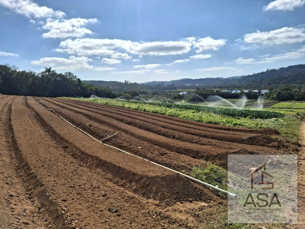 Sítio, 9 hectares - Foto 1