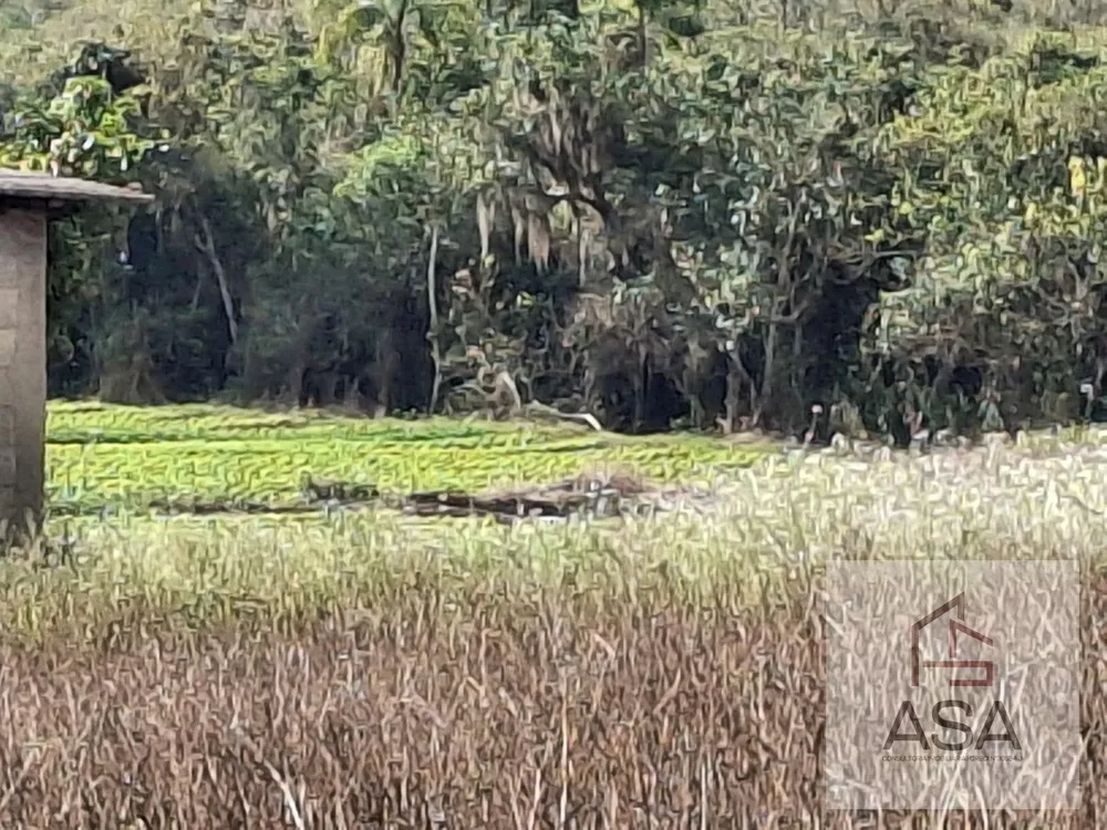 Sítio, 9 hectares - Foto 4