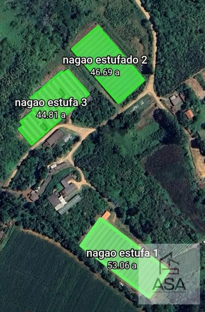 Terreno, 8 hectares - Foto 1